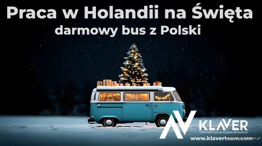 swiateczna-praca-w-holandii-szybki-wyjazd-z-polski-56362.webp