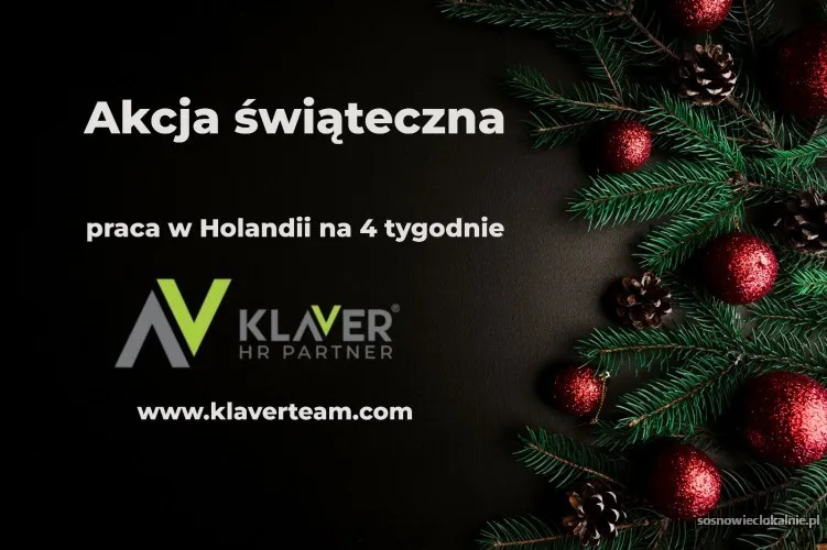 swiateczny-wyjazd-do-holandii-praca-od-zaraz-56377.webp