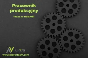 Praca w Holandii-Pracownik produkcyjny -pary! Praca w Holandii-Pracownik produkcyjny -pary!