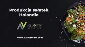 Praca za granicą- Pracownik produkcji sałatek- od zaraz! Praca za granicą- Pracownik produkcji sałatek- od zaraz!