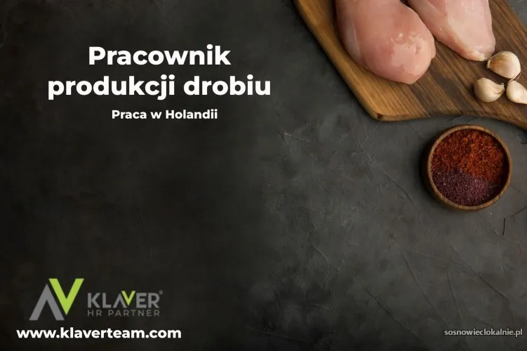 praca-za-granica-pracownik-produkcji-drobiu-praca-od-zaraz-56543.webp
