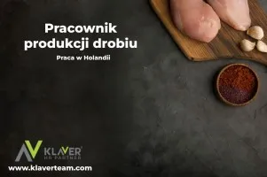Praca za granicą- Pracownik produkcji drobiu- praca od zaraz Praca za granicą- Pracownik produkcji drobiu- praca od zaraz