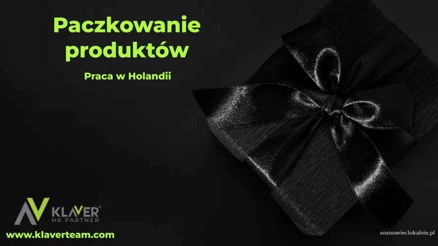 praca-za-granica-paczkowanie-holandia-praca-od-zaraz-56544.webp