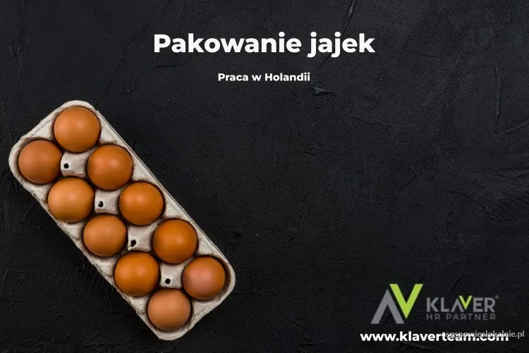 praca-za-granica-pakowanie-jajek-praca-od-zaraz-56556.webp