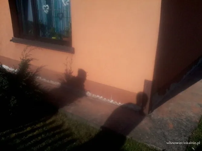 osuszanie-piwnic-w-slasku-i-malopolsce-murexpert-56604-sosnowiec.webp
