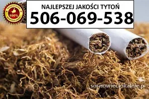 znakomitej-jakosci-tyton-80-pln-1kg-56614.webp