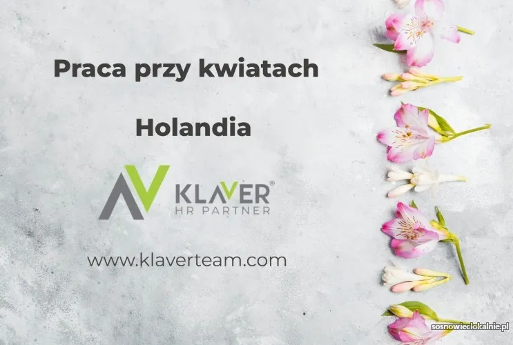praca-w-holandii-przy-kwiatach-bez-doswiadczenia-i-jezyka-56653.webp