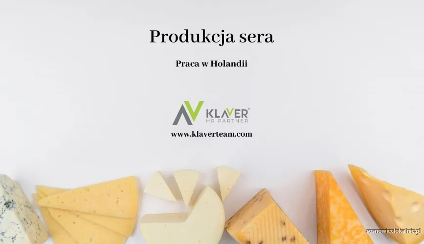 praca-w-holandii-produkcja-sera-od-zaraz-56668.webp