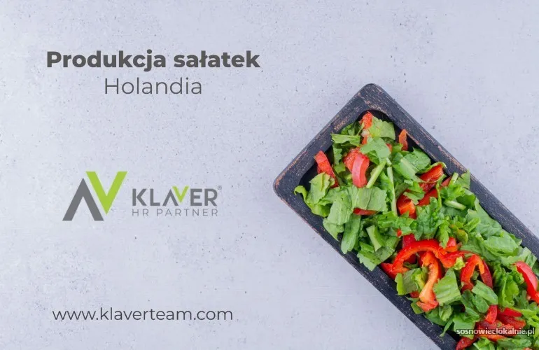 praca-w-holandii-produkcja-salatek-od-zaraz-56678.webp
