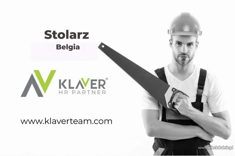 stolarz-prace-stolarskie-i-renowacyjne-praca-w-belgii-56707.webp