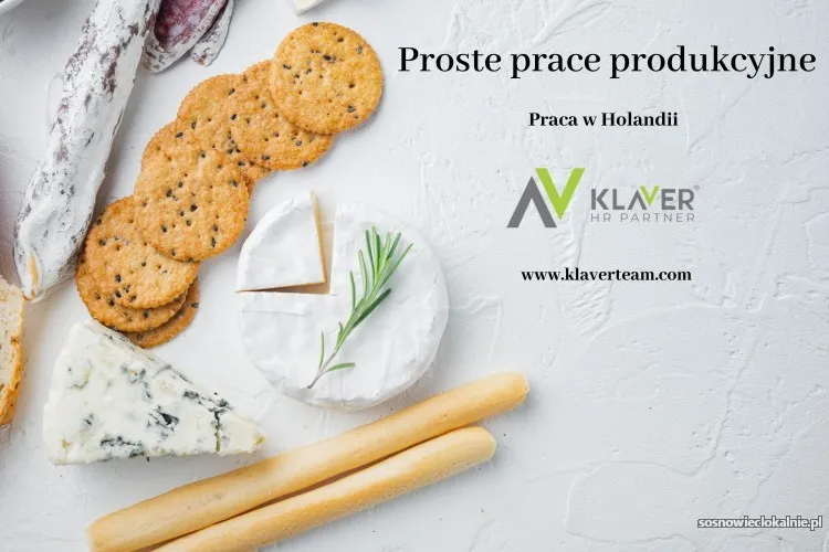 oferty-pracy-na-stanowiskach-produkcyjnych-w-holandii-56723.webp