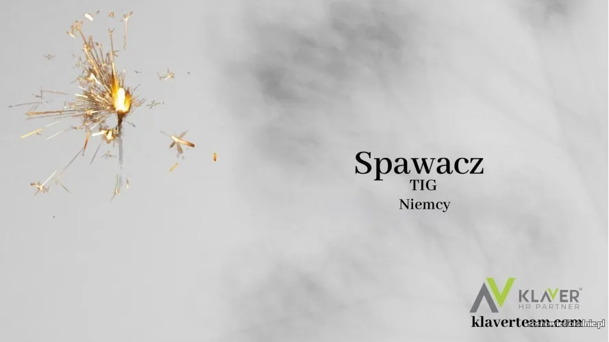 spawacz-tig-niemcy-lueneburg-56732.webp