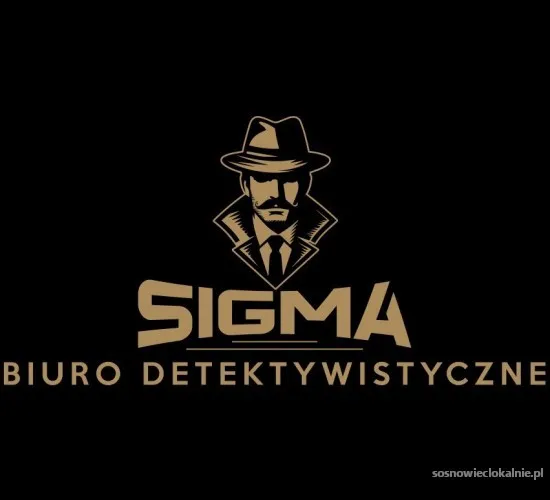 prywatny-detektyw-profesjonalne-uslugi-detektywistyczne-56865.webp