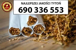 Bardzo Dobrej Jakości TYTOŃ 85 PLN/1KG Bardzo Dobrej Jakości TYTOŃ 85 PLN/1KG