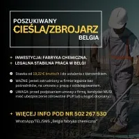 Zbrojarz/Cieśla - Belgia, Antwerpia i okolice Zbrojarz/Cieśla - Belgia, Antwerpia i okolice