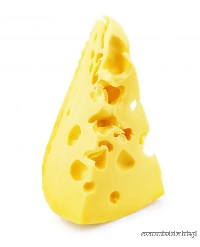 holandia-produkcja-sera-oferta-dla-par-57032.webp