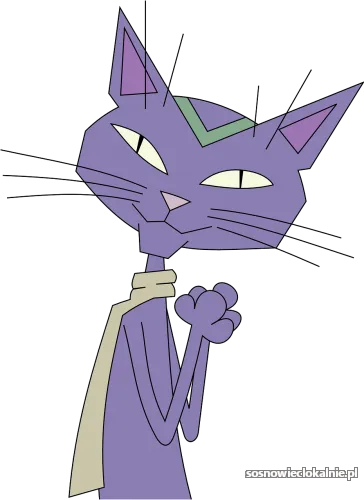 Ofiaruj kotom w azylu potrzebne rzeczy!